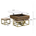 Modern Square Lift-Top Coffee Table Set with Storage & 4 Ottomans White & Walnut - DTYStore