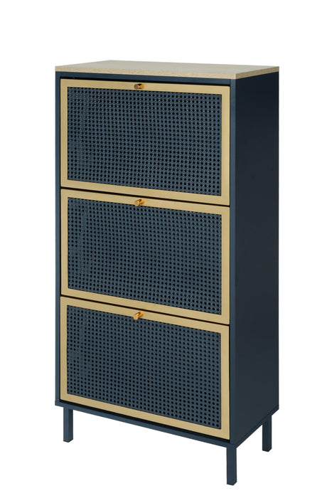 3 Metal Door Shoe Rack, Freestanding Modern Shoe Storage Cabinet, Metal rattan, for Entryway