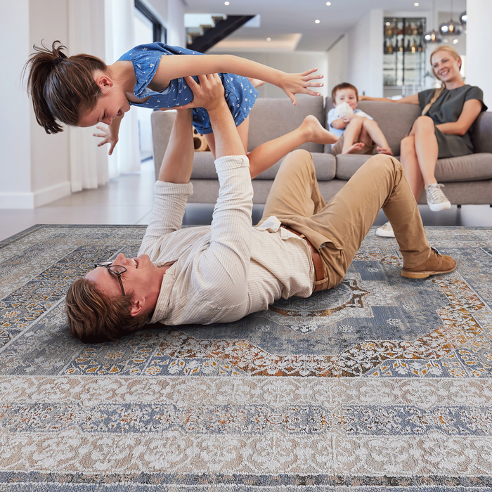 DTY Signature Collection 6X9 Blue/Ivory /Medallion Non-Shedding Living Room Bedroom Dining Home Office Stylish and Stain Resistant Area Rug - DTYStore