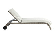 Salena Beige Fabric & Gray Finish Patio Sun Lounge - DTYStore