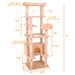 Cat Climbing Frame - DTYStore