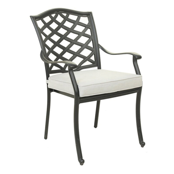 Dining Arm Chair, Cast Silver, Set of 2 - DTYStore