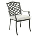Dining Arm Chair, Cast Silver, Set of 2 - DTYStore