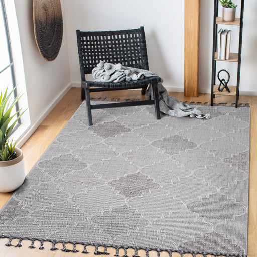 DTY Signature Collection 4X6 White/Grey /Trellis Indoor/Outdoor Area Rug - DTYStore
