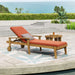 JASON CHAISE LOUNGE - DTYStore