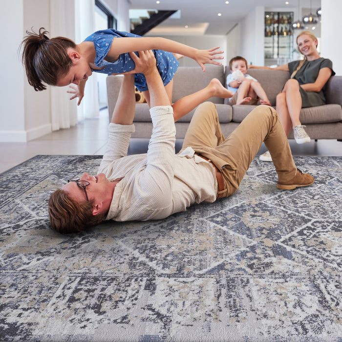 DTY Signature Collection 5X7 Grey/Blue /Traditional Non-Shedding Living Room Bedroom Dining Home Office Stylish and Stain Resistant Area Rug - DTYStore