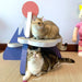 Cat Scratcher Post Board, Mount Fuji Shape Cat Scratching Lounge Bed, Durable Pad Prevents Furniture Damage