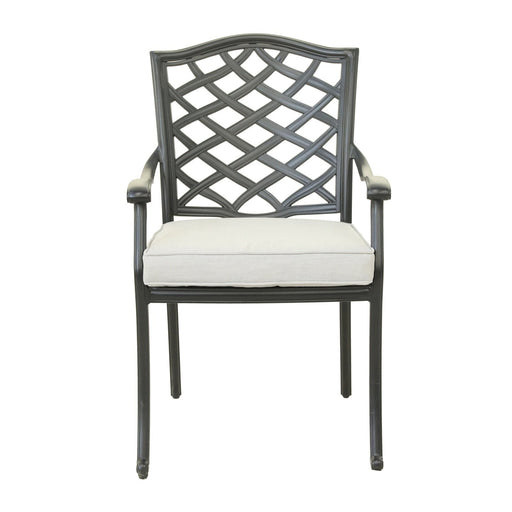 Dining Arm Chair, Cast Silver, Set of 2 - DTYStore