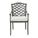 Dining Arm Chair, Cast Silver, Set of 2 - DTYStore