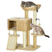 38" Cat Tree for Indoor Cats, Cat Tower with Scratching Posts, Ramp, Condo, Toy Balls, Platform, Bed, Ramp, Beige - DTYStore