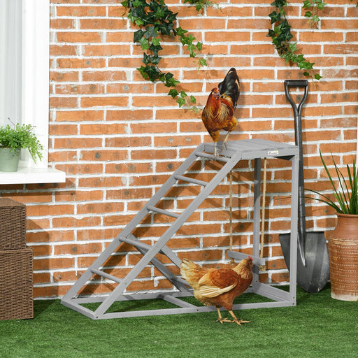 Chicken Activity Play for Healthy & Happy Animals, Swing Set with Chicken Perches & Hen Ladder, Chicken Coop Toy, Gray - DTYStore