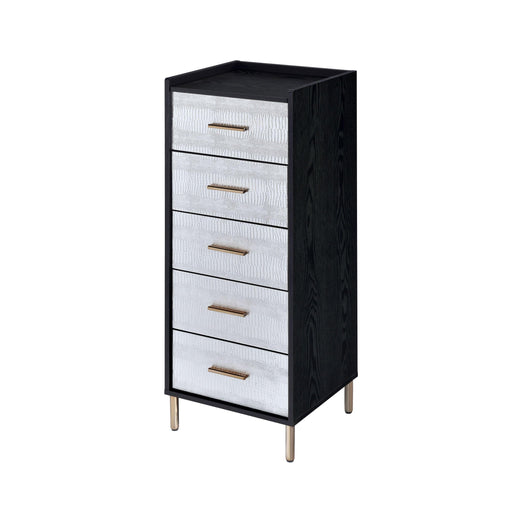 Black and Silver 4-drawer Jewelry Armoire with Lift-top - DTYStore