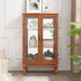 2 Doors Curio Cabinet with Tempered Glass Doors and Mirrored Back Panel, Lighted Display Cabinet for Home and Office