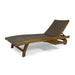 BANZAI CHAISE LOUNGE WITH PULL-OUT TRAY [SET OF 2 PCS] - DTYStore