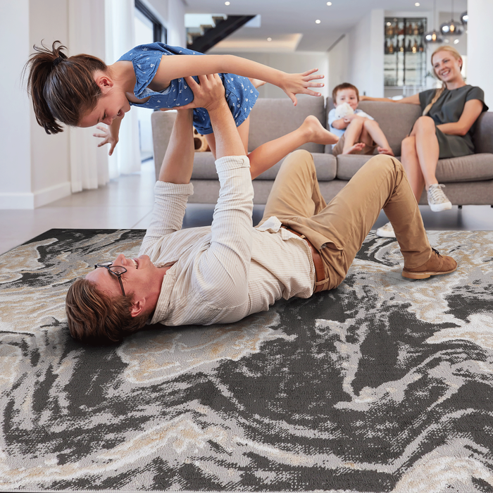 DTY Signature Collection 6X9 Grey /Abstract Non-Shedding Living Room Bedroom Dining Home Office Stylish and Stain Resistant Area Rug - DTYStore
