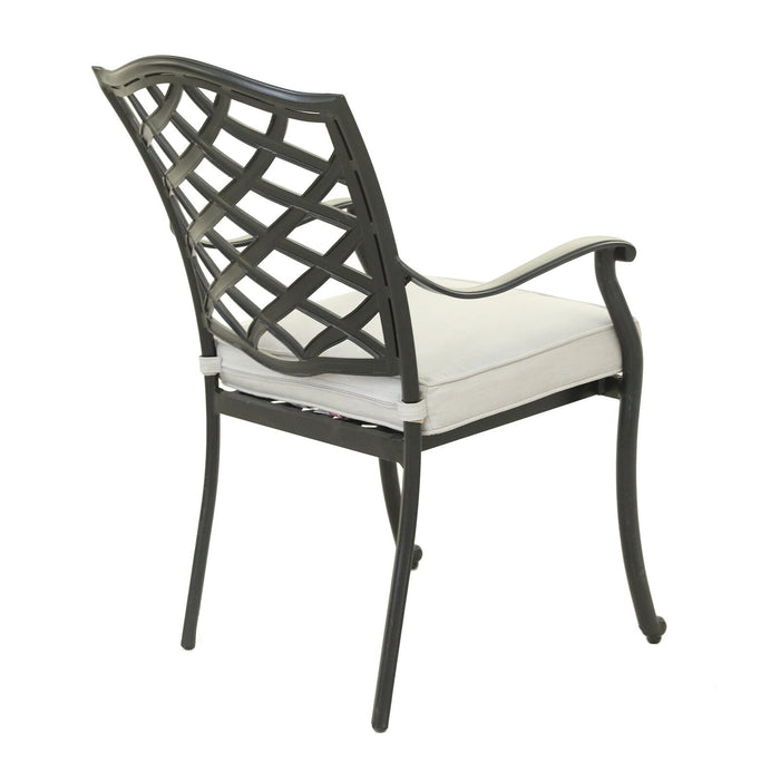 Dining Arm Chair, Cast Silver, Set of 2 - DTYStore
