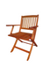 Foldable Patio Dining Set, 4 Folding Chairs, Indoor and outdoor universal, Teak - DTYStore