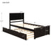 Platform Bed with Twin Size Trundle, Twin Size Frame, Espresso