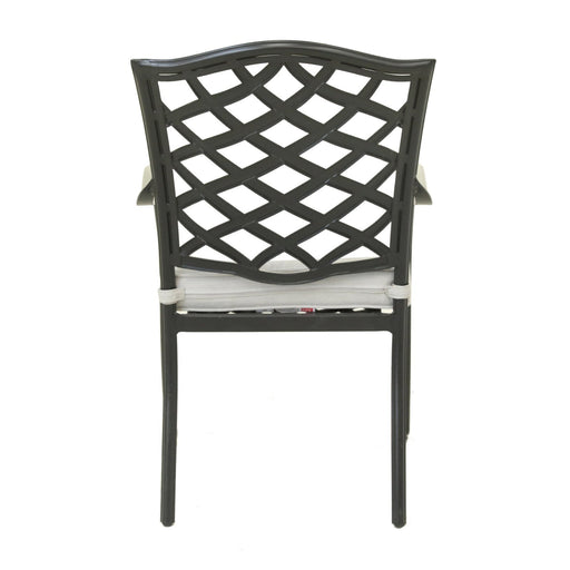 Dining Arm Chair, Cast Silver, Set of 2 - DTYStore