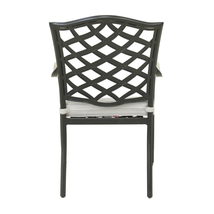 Dining Arm Chair, Cast Silver, Set of 2 - DTYStore