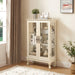 2 Doors Curio Cabinet with Tempered Glass Doors and Mirrored Back Panel, Lighted Display Cabinet for Home and Office