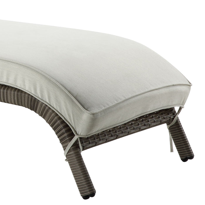 Salena Beige Fabric & Gray Finish Patio Sun Lounge - DTYStore