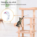 Cat Climbing Frame - DTYStore