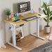 Electric Height Adjustable Standing Desk,Sit to Stand Ergonomic Computer Desk,Yellow,55'' x 24" - DTYStore