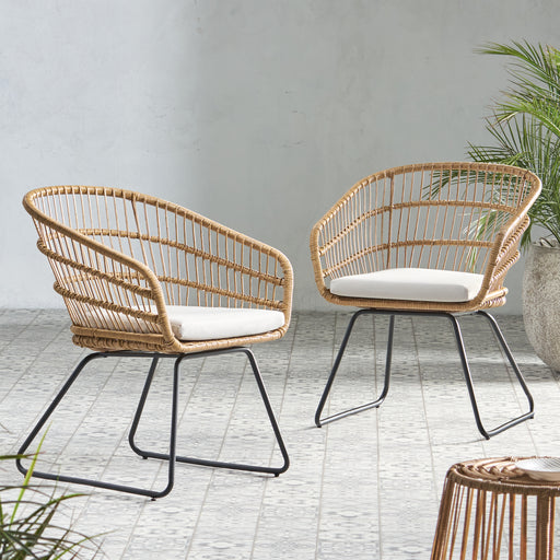 TERRY CHAIR,2PCS with 2 Cushions - DTYStore