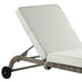 Salena Beige Fabric & Gray Finish Patio Sun Lounge - DTYStore