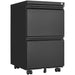 2 Drawer File Cabinet with Lock, Metal Under Desk Rolling Filing Cabinet fits Letter/Legal/A4 Size for Home Office, Mobile Filing Cabinet, Assemble Required, Black - DTYStore