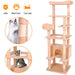 Cat Climbing Frame - DTYStore
