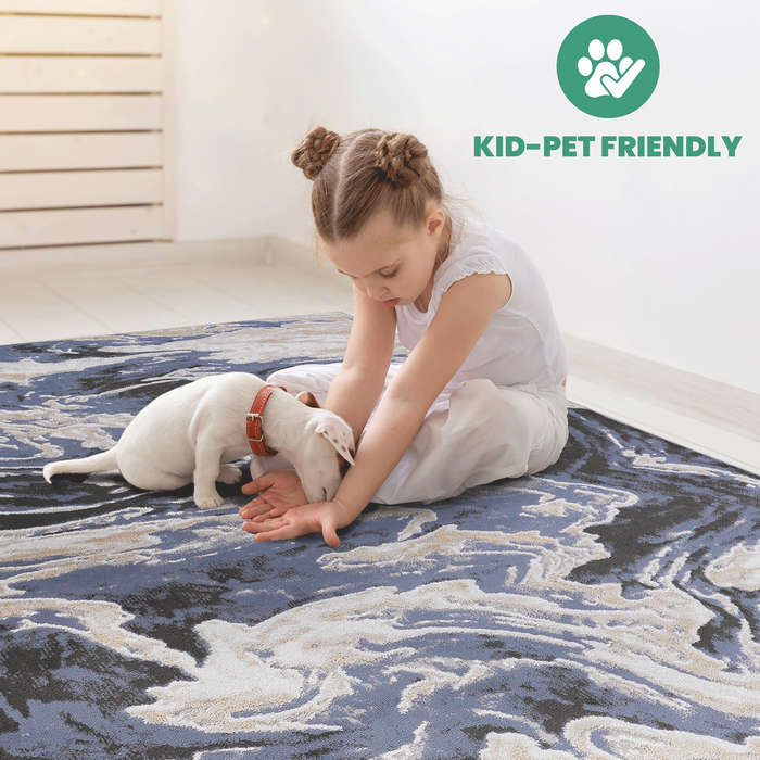 DTY Signature Collection 6X9 L.Blue /Abstract Non-Shedding Living Room Bedroom Dining Home Office Stylish and Stain Resistant Area Rug - DTYStore