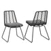 DEJA CHAIR,2PCS with 2 Cushions,Gray - DTYStore