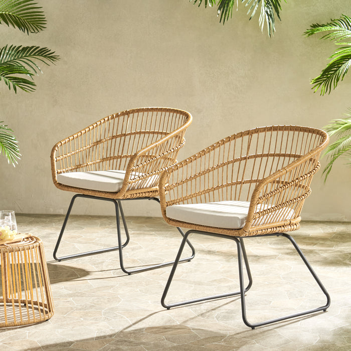 TERRY CHAIR,2PCS with 2 Cushions - DTYStore