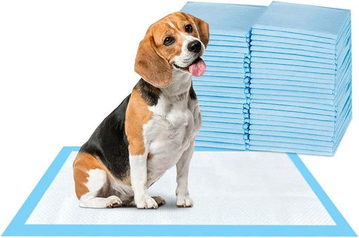 Super-Absorbent Waterproof Dog and Puppy Pet Training Pad, Housebreaking Pet Pad, 40-Count Medium-Size, 23.6"X23.6" - DTYStore