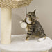 47" Cat Tree Kitty Activity Center, Cat Climbing Toy with Cattail Fluff, Bed, Condo, Sisal Scratching Post, and Hanging Ball, Natural