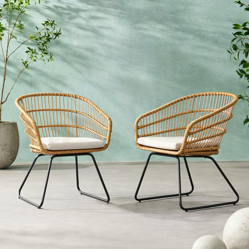 TERRY CHAIR,2PCS with 2 Cushions - DTYStore
