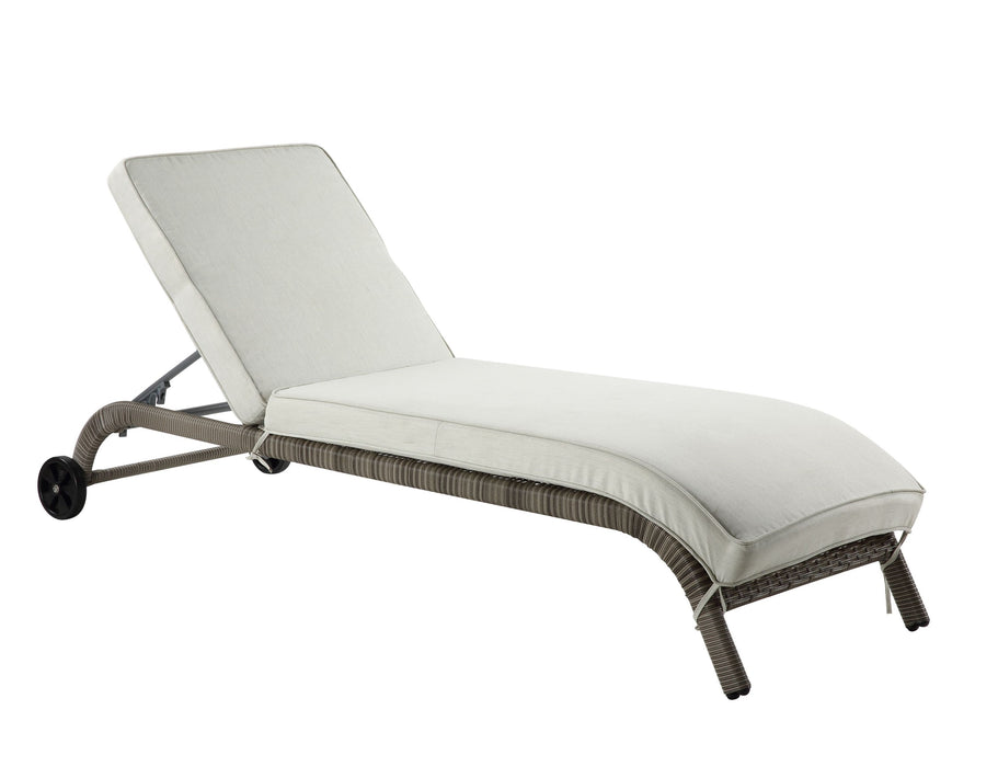 Salena Beige Fabric & Gray Finish Patio Sun Lounge - DTYStore