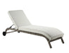 Salena Beige Fabric & Gray Finish Patio Sun Lounge - DTYStore