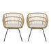TERRY CHAIR,2PCS with 2 Cushions - DTYStore