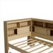 Twin Size Wood Daybed with Storage Shelves, USB and Trundle, Natural - DTYStore