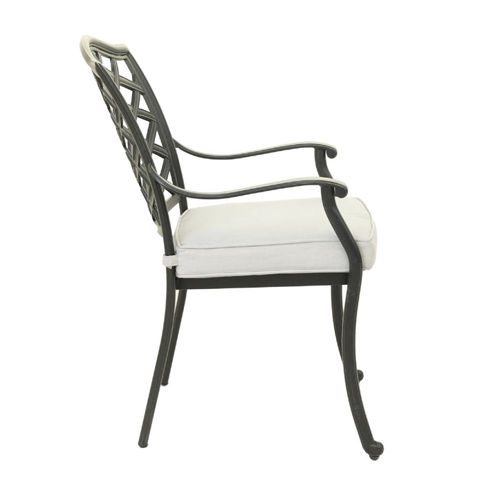 Dining Arm Chair, Cast Silver, Set of 2 - DTYStore