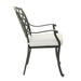 Dining Arm Chair, Cast Silver, Set of 2 - DTYStore