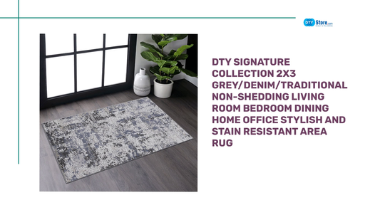 DTY Signature Collection 2X3 Grey/Denim/Traditional Non-Shedding Living Room Bedroom Dining Home Office Stylish and Stain Resistant Area Rug by@Outfy