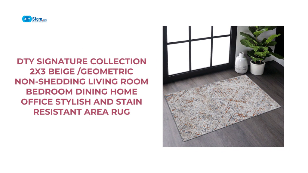 DTY Signature Collection 2X3 Beige /Geometric Non-Shedding Living Room Bedroom Dining Home Office Stylish and Stain Resistant Area Rug by@Outfy