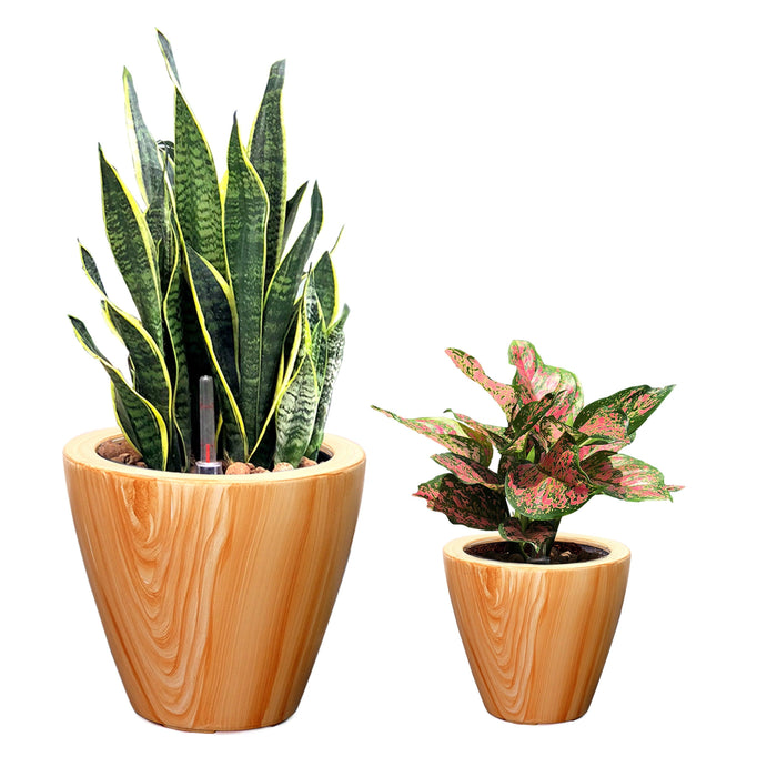 Set of 2 CATLEZA Cone Planters Round Imitation Pine