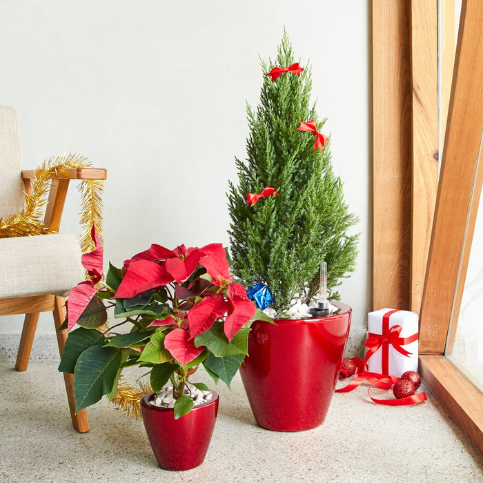 Set of 2 CATLEZA Cone Planters Round Red