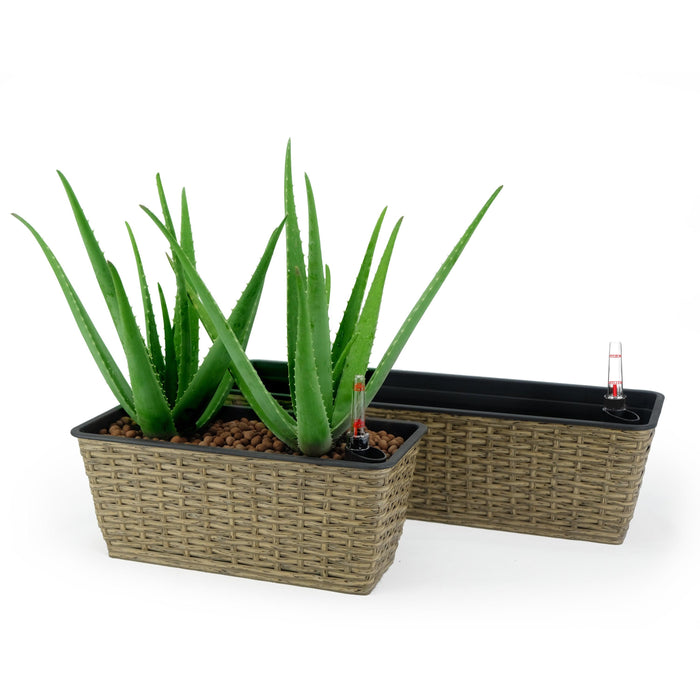 DTY Signature Set of 2 CATLEZA Rectangular Wicker Planters