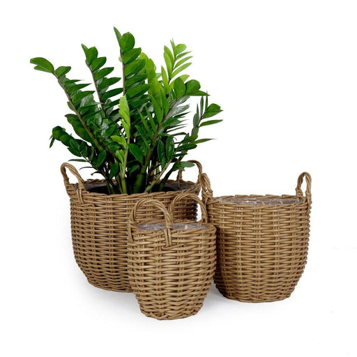 3-Pack Catleza Wicker Multi-purposes Basket with handler - Planter basket - DTYStore